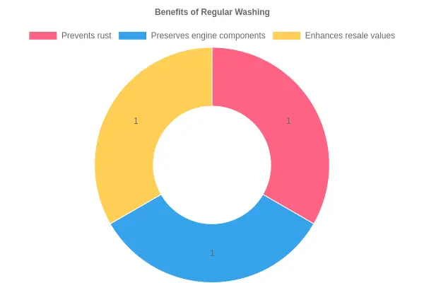 Benefits of Regular Washing